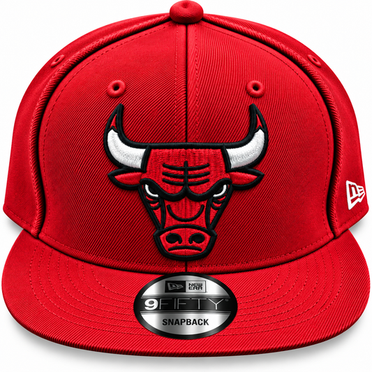 Chicago Bulls